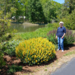 neighbors shoreline program