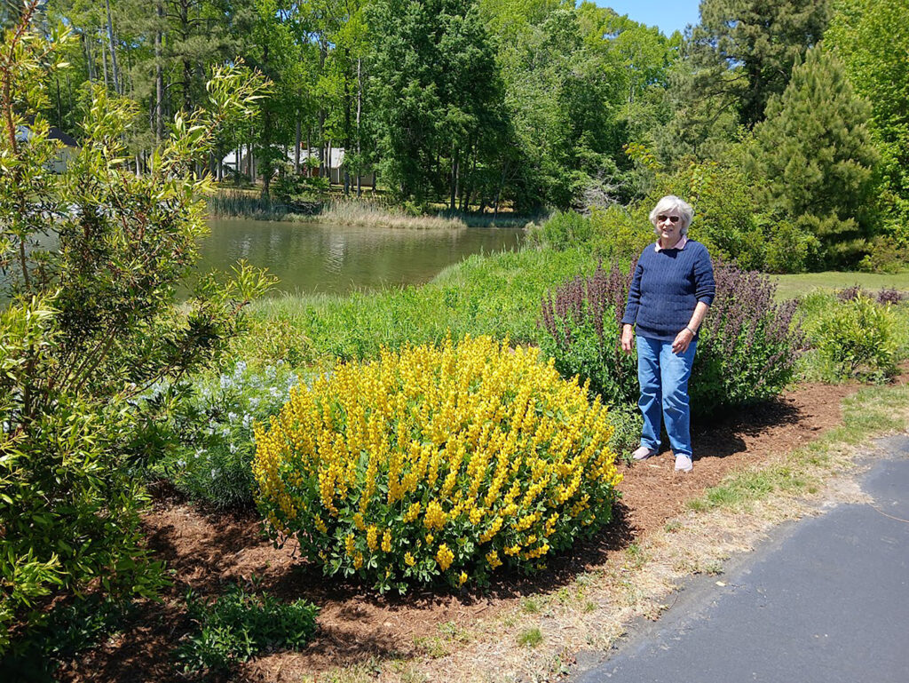 neighbors shoreline program