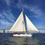 neighbors skipjack