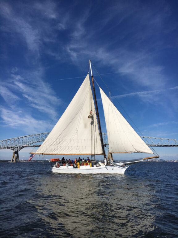 neighbors skipjack