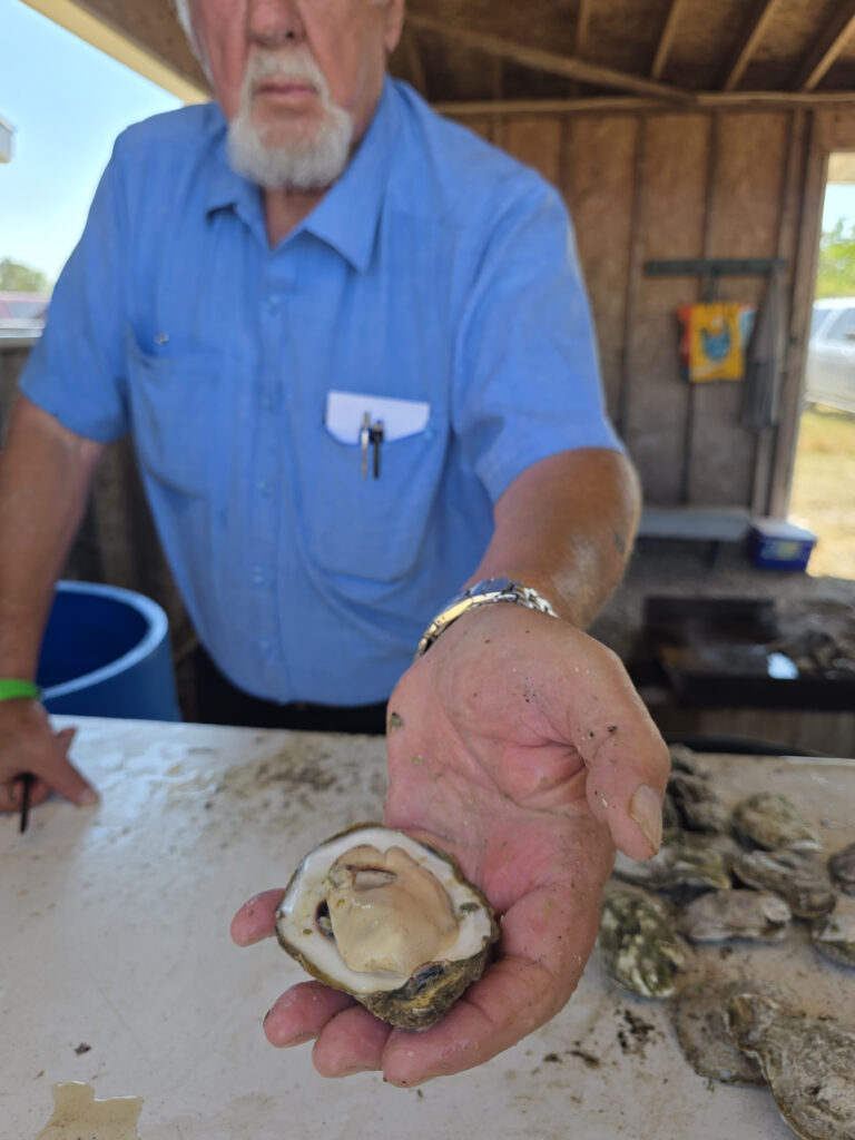 point abingdon seafood festival 2