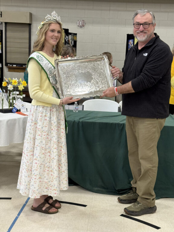 community gloucester daffodil show 2026 belvin and queen