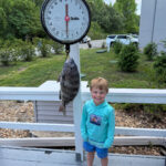 sports emmett dye fish
