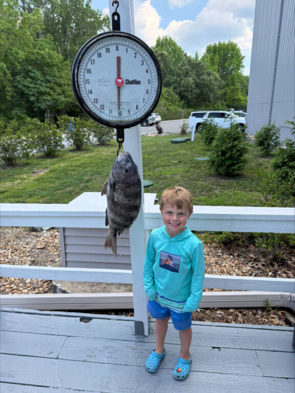 sports emmett dye fish