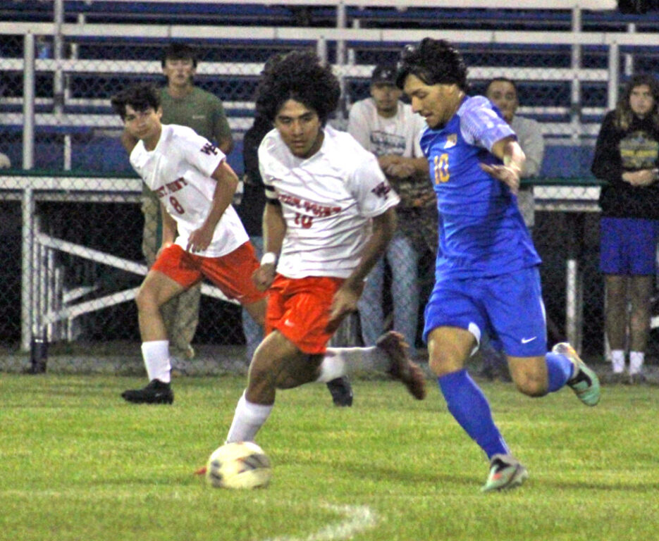 sports sal cardenas