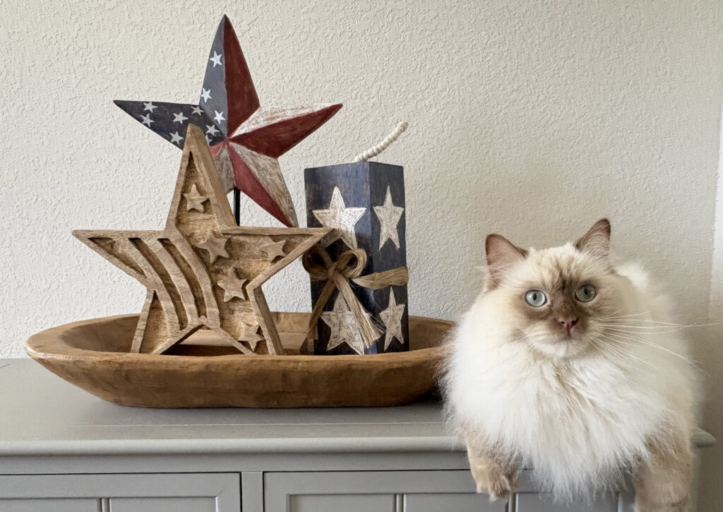 cat brown