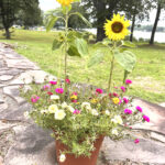 flower moorman