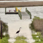 point coastal flooding