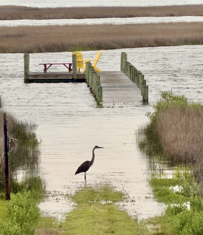 point coastal flooding