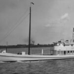 point guinea program