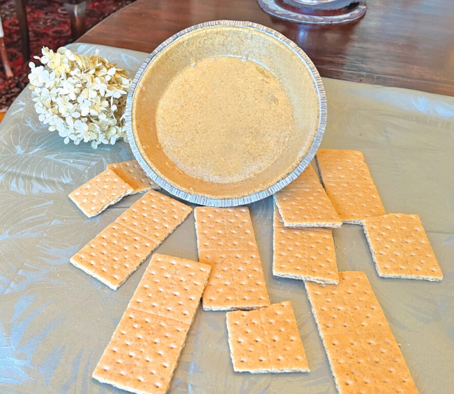 food graham cracker rgb