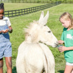schools 4h camp