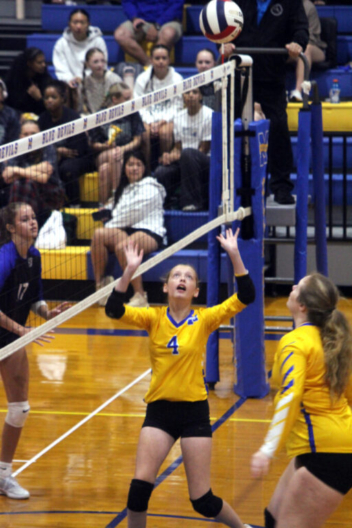 sports mhs volleyball