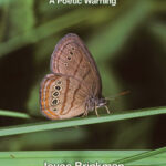 arts new poetry book