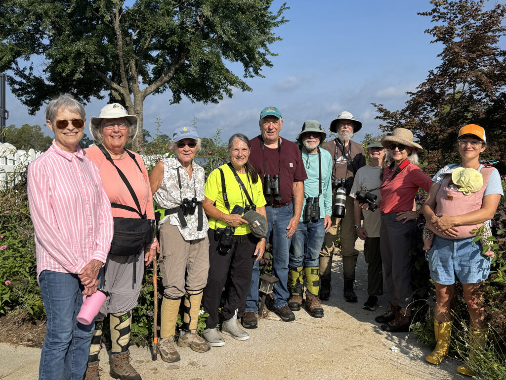 community bird watchers