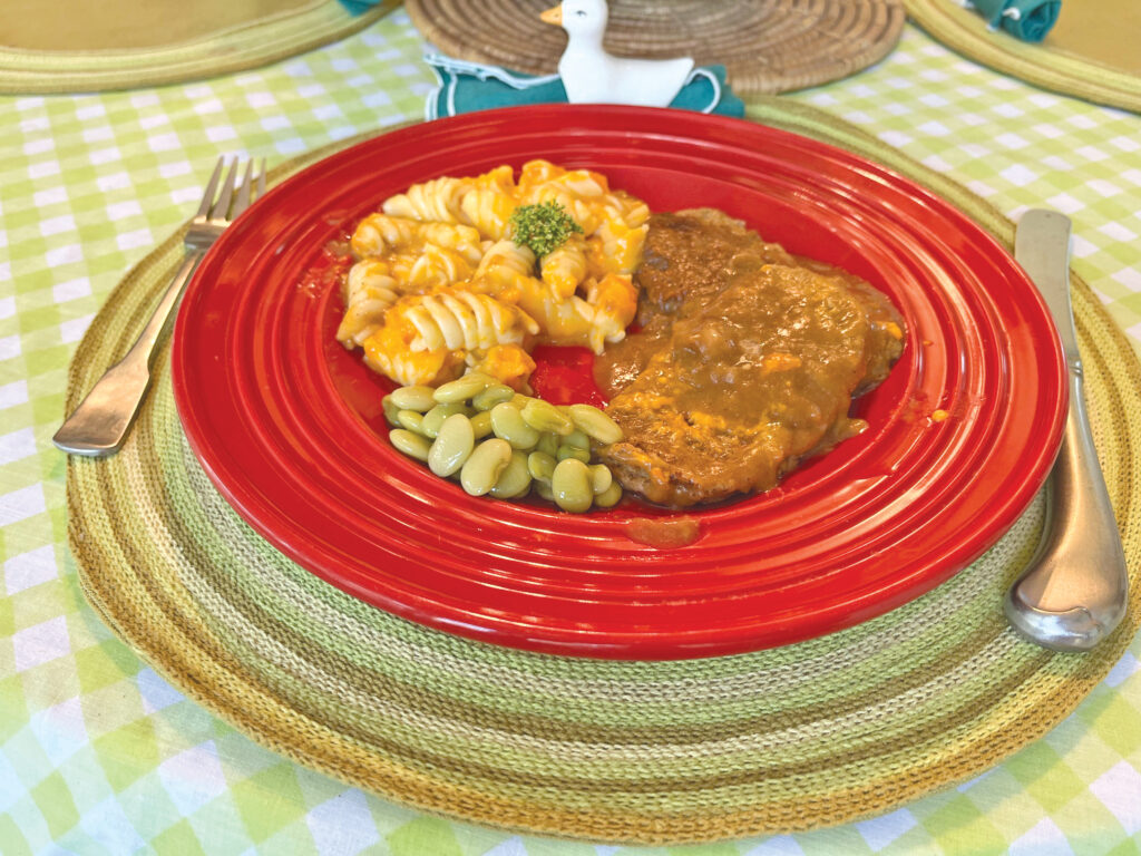 food salisbury steak rgb