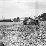 guinea eldridge cook moving shells