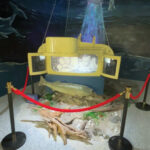 rgb mathews museum aquascope opening 1