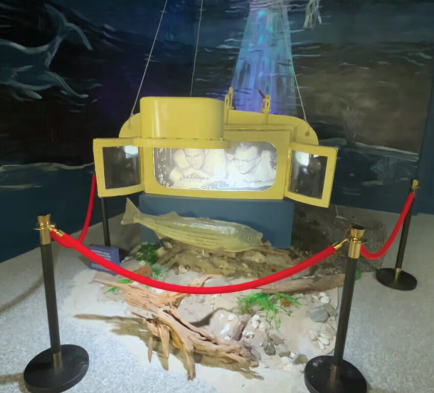rgb mathews museum aquascope opening 1