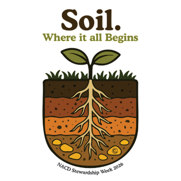 schools poster contest